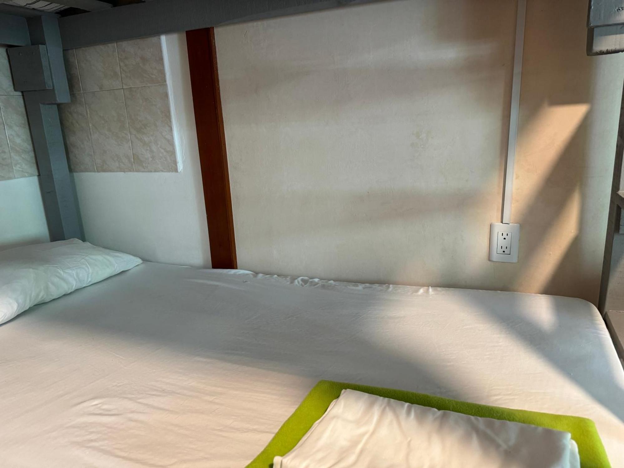 Pecari 26 Séjour chez l'habitant Cancún