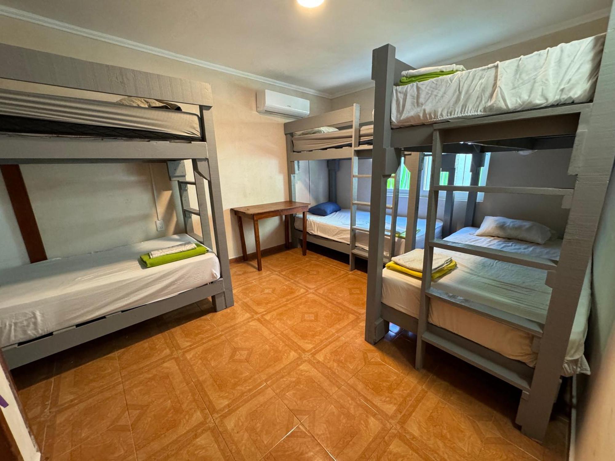 Pecari 26 Cancún